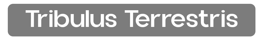 tribulus